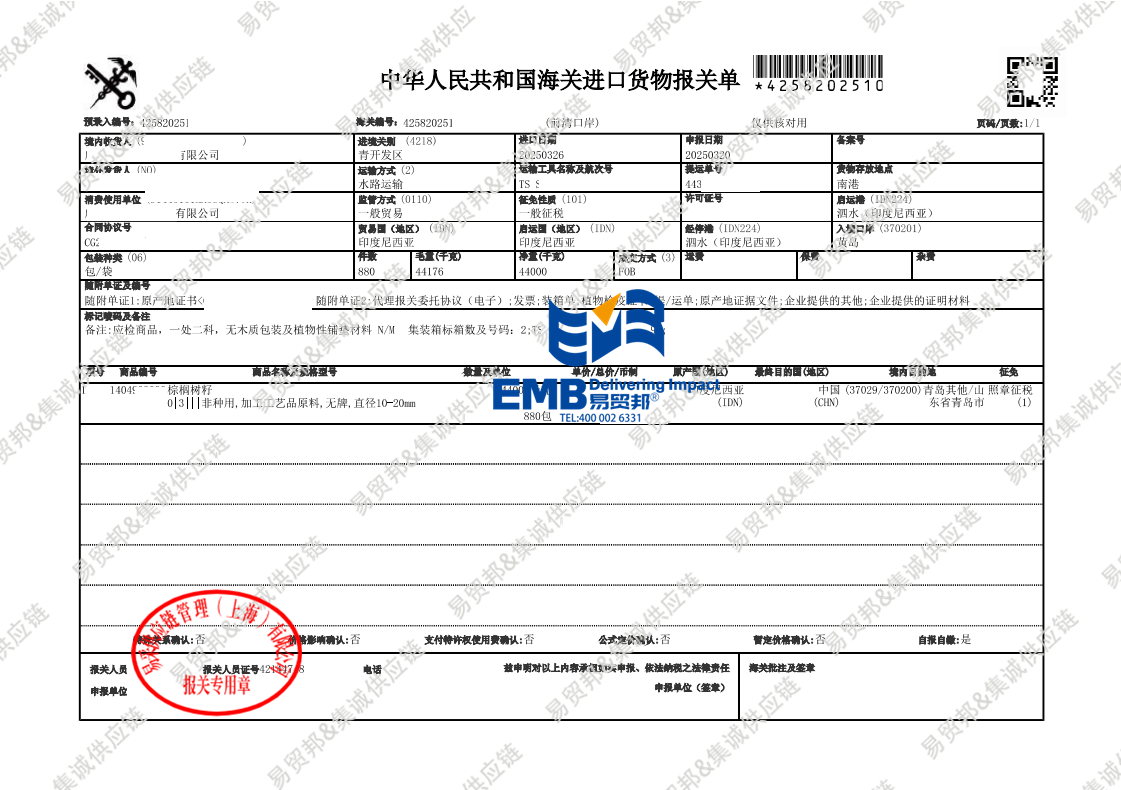 棕榈树籽2503.png