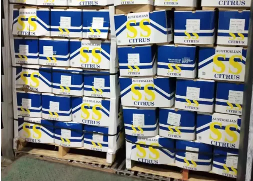 澳大利亚鲜橙子进口清关单证资料及注意事项