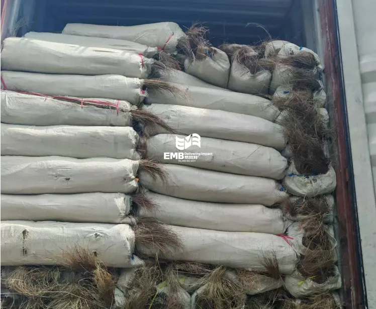 【进口案例】印尼棕榈纤维广州南沙港进口报关案例