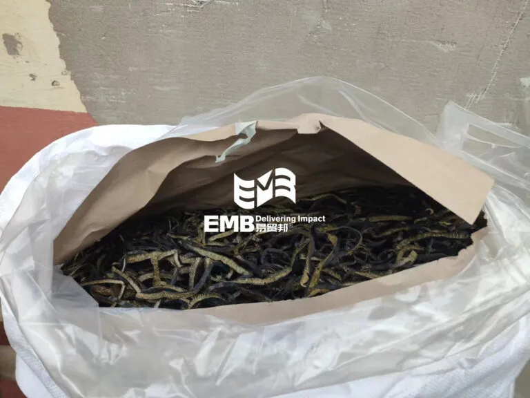 【进口案例】智利干海藻（公牛藻）青岛黄岛港进口清关案例