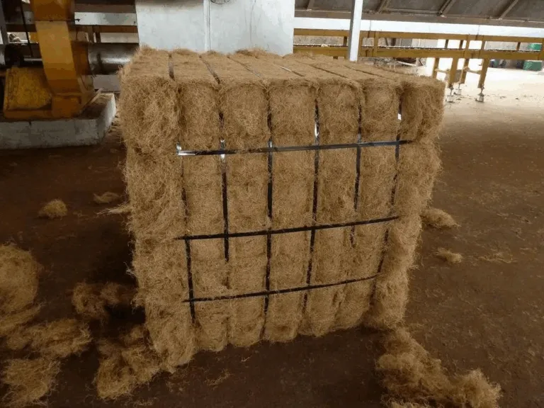 【进口案例】印度尼西亚棕榈纤维广州南沙港清关案例