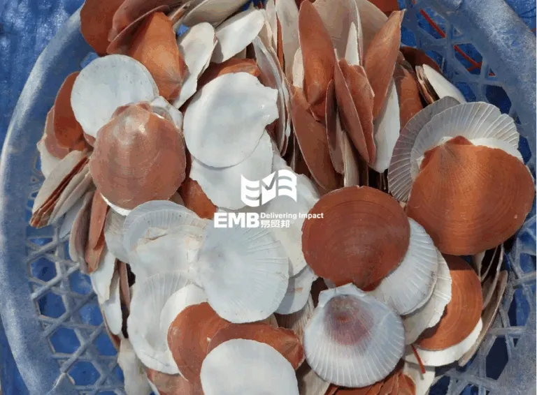 泰国日月贝贝壳广州进口清关手续流程案例