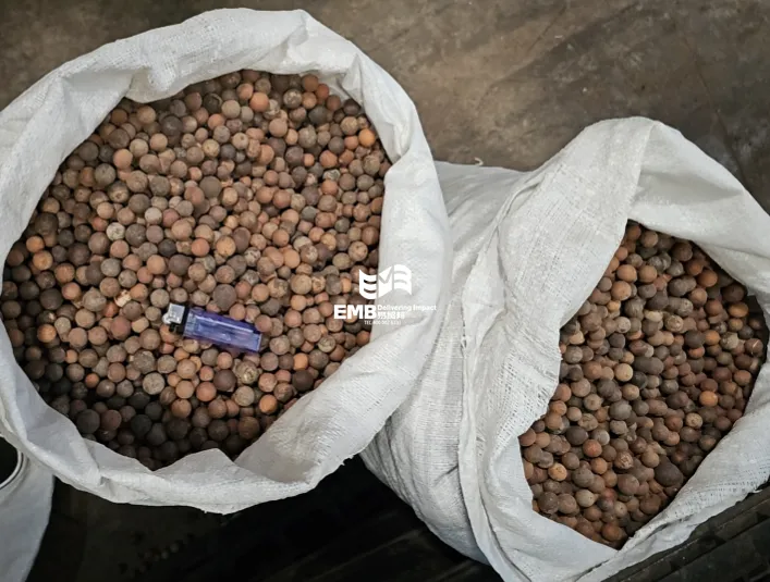 印尼棕榈树籽（工业用）青岛港进口清关案例-易贸邦&集诚供应链