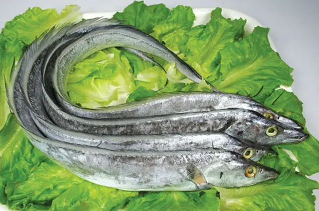 冻带鱼进口案例