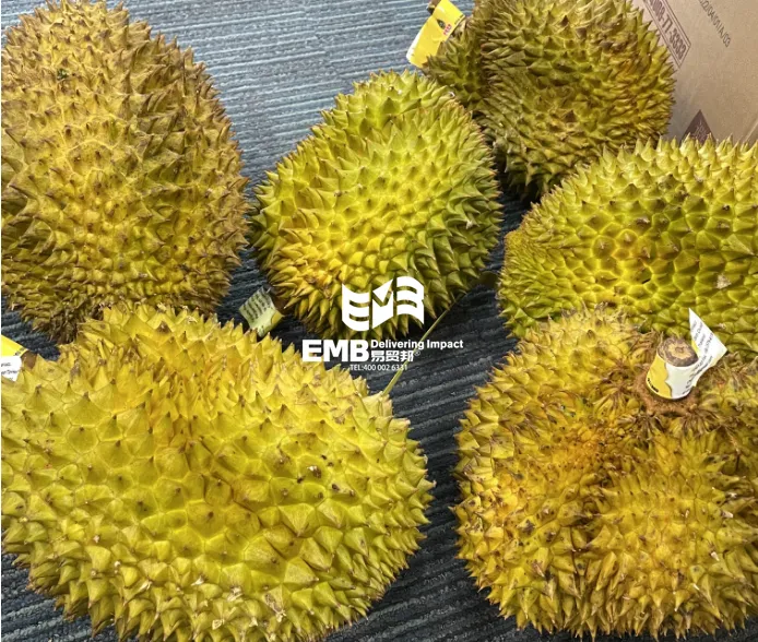 【进口案例】泰国鲜榴莲深圳蛇口港进口清关案例