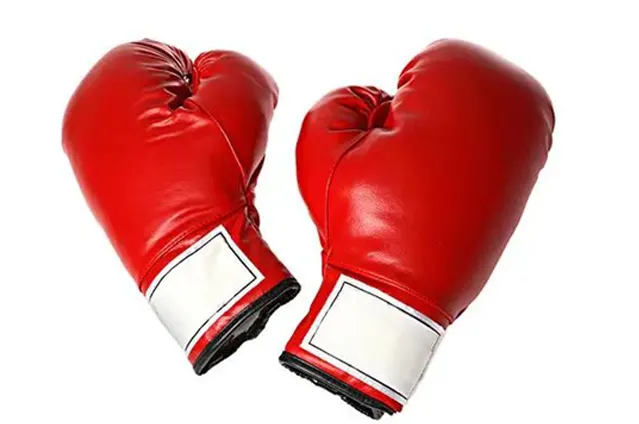 体育用品进口报关及海外运输案例