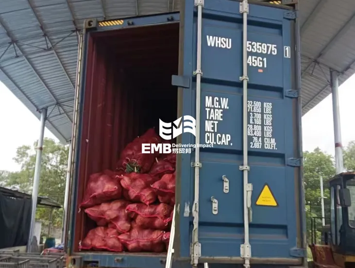 【进口案例】印度尼西亚椰子海南洋浦港进口报关案例