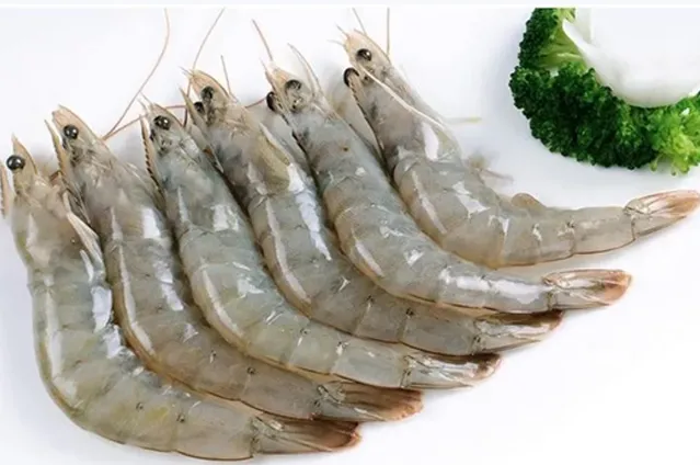 冷冻南美白对虾进口案例