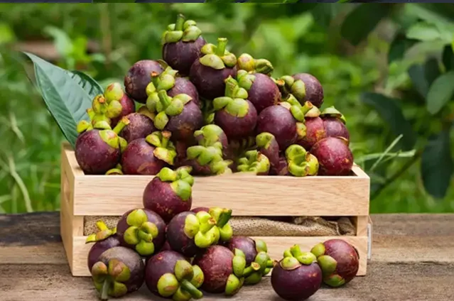 鲜山竹果进口案例