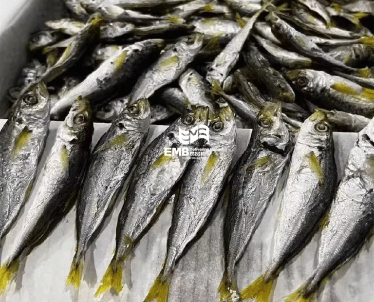 【进口案例】越南小公鱼干/巴浪鱼干海南洋浦港进口清关案例