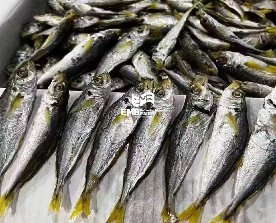 【进口案例】越南小公鱼干/巴浪鱼干海南洋浦港进口清关案例