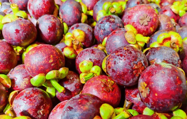 泰国鲜山竹进口报关清关操作流程及所需单证