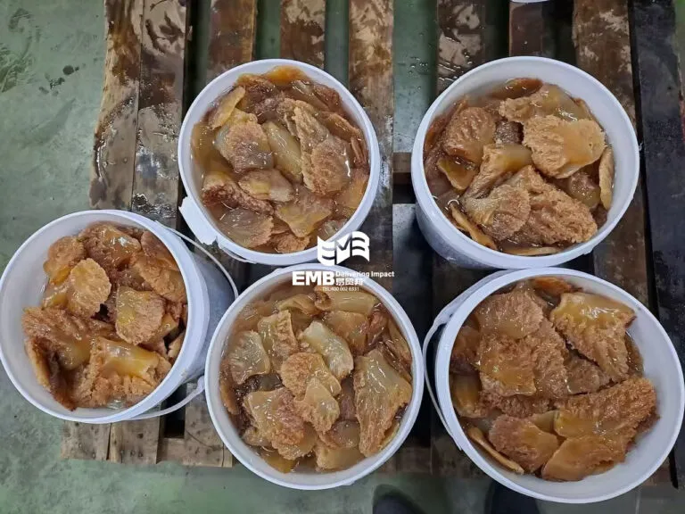 【进口案例】马来西亚盐渍海蜇广州南沙港进口清关案例