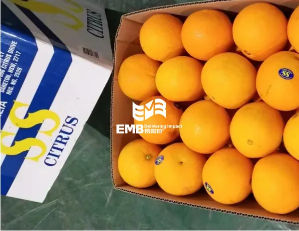 【进口案例】澳大利亚鲜橙深圳蛇口港进口报关案例