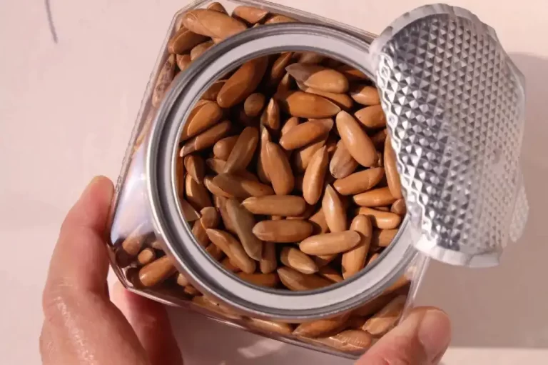 松子进口报关所需单证资料及清关操作要求