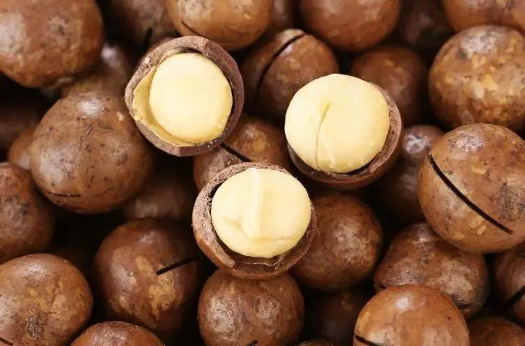 肯尼亚夏威夷果进口清关手续流程及注意事项