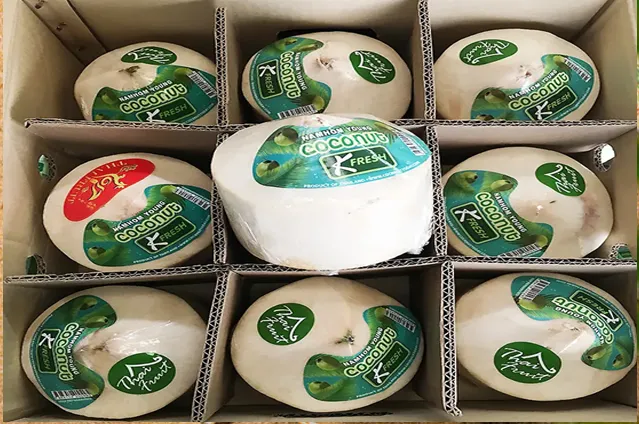 鲜椰子进口案例