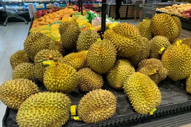 鲜榴莲进口案例