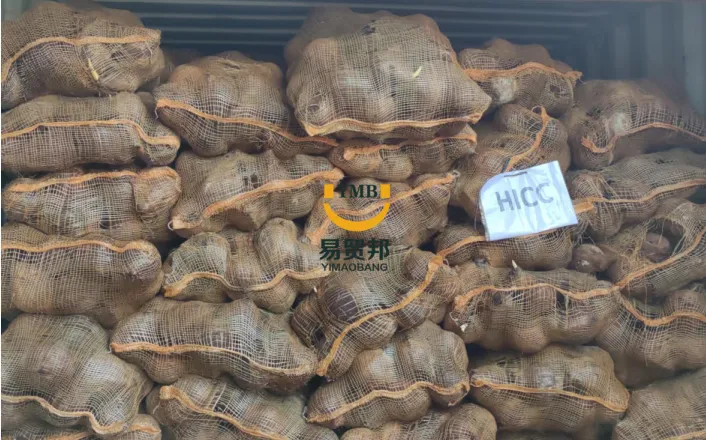 印尼椰子进口清关操作要点及注意事项案例