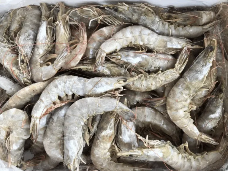 厄瓜多尔冷冻南美白虾厦门海沧港进口报关案例-易贸邦&集诚供应链