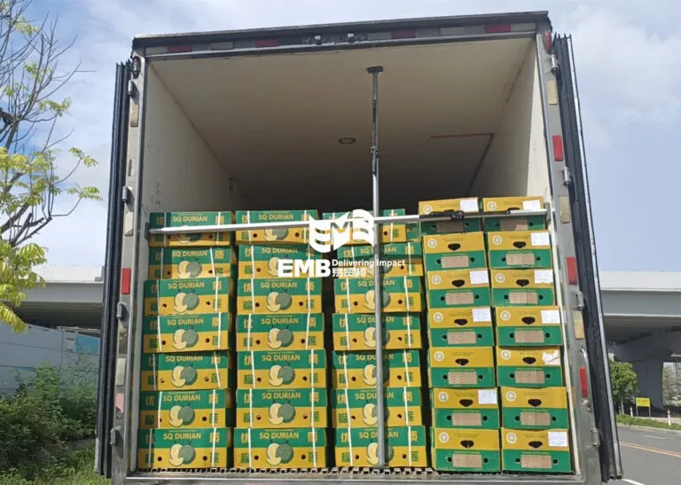 【进口案例】菲律宾鲜榴莲广州南沙港进口清关案例