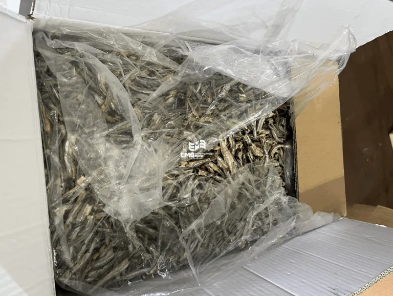 【进口案例】海南洋浦港进口越南小公鱼干报关案例-易贸邦&集诚供应链