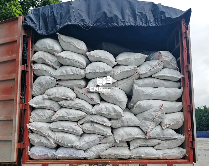 【进口案例】泰国长肋日月贝贝壳广州港口进口报关运输案例-易贸邦&集诚供应链